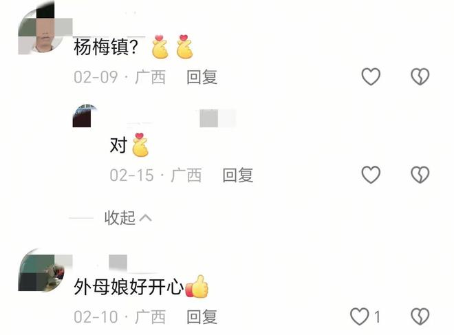 老家头发花白、没戴翡翠80岁的她很平和凯发K8国际娱乐刘嘉玲妈妈独自回广西(图4)