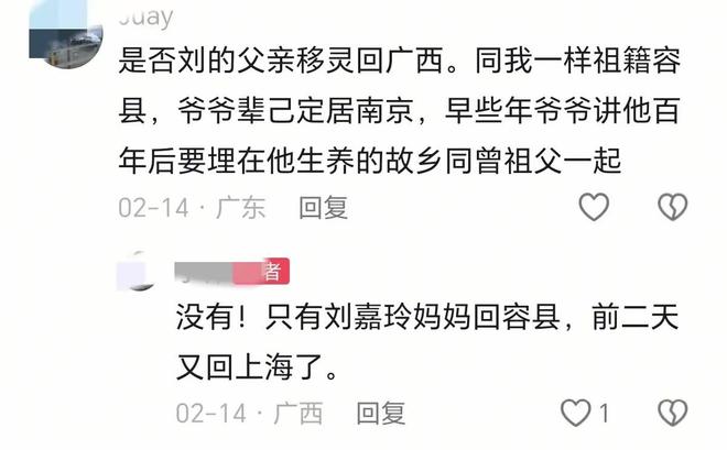 老家头发花白、没戴翡翠80岁的她很平和凯发K8国际娱乐刘嘉玲妈妈独自回广西(图12)